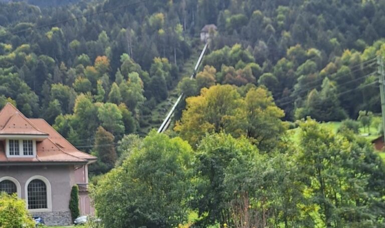 Швајцарска енергетска приказна– хидропотенцијалот во хармонија со заштитената природа